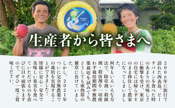 2024年 先行予約 パイナップル ついに実現！ 栽培期間中 完全有機 無農薬 アナナスドルチェ 約2.5kg 2～4玉 果物 フルーツ