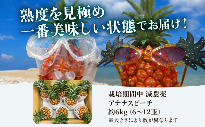 2024年 先行予約 栽培期間中 減農薬 ピーチパイン 約6kg 6～12玉 西表島アナナス農園 完熟 パイン 果物 フルーツ