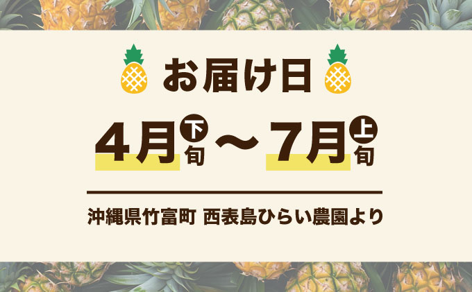 2026年 先行予約 ピーチパイン 約3kg 3～4玉 濃密 "いってＱ"でも紹介された 西表島ひらい農園 パイン パイナップル 果物 フルーツ 027-a001_2026