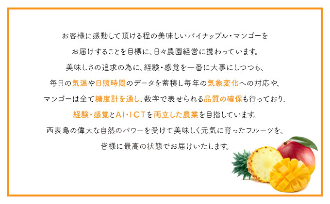 パイン ジュース ITQI2021 三ツ星受賞 35個 35個