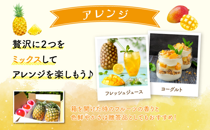 2026年 先行予約 セット パイン 約1.5kg マンゴー 約1kg 農園ファイミール 果物 フルーツ 031-a003_2026