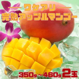 2026年 先行予約 訳あり 完熟 アップルマンゴー 2L 350g～460g 2玉 マンゴー 果物 デザート 品評会連続入賞 2026年 発送 ますみ農園 005-a015_2026