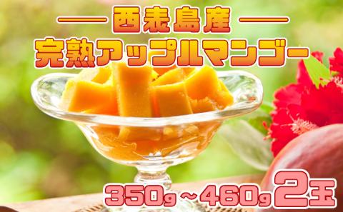 2026年 先行予約 完熟 アップルマンゴー 2L 350g～460g 2玉 マンゴー 果物 デザート 品評会連続入賞2026年 発送 ますみ農園 005-a014_2026