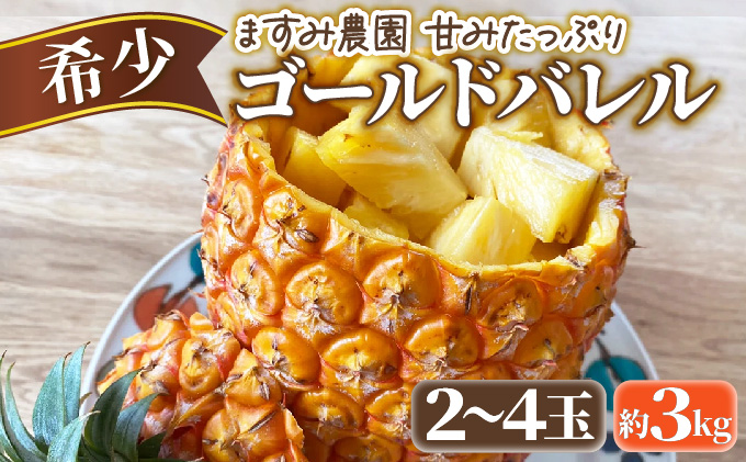 2026年 先行予約 パイン ゴールドバレル 約3kg 2～4玉 ますみ農園 甘み たっぷり パイナップル 果物 フルーツ 005-a001_2026