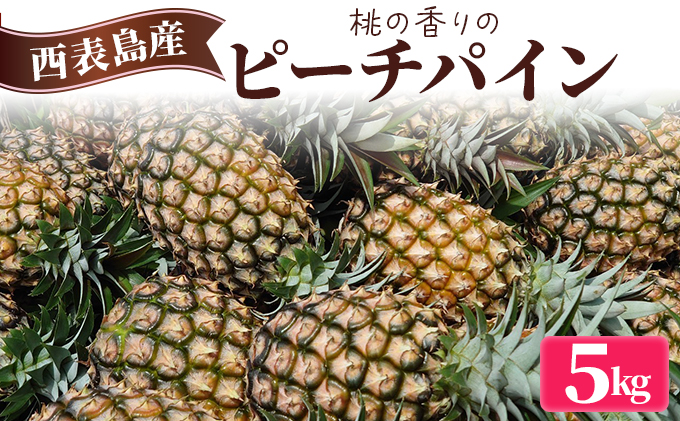 2026年 先行予約 ピーチパイン 約5kg (5～8玉) 桃の香り ますみ農園 パイン 果物 フルーツ 005-a003_2026