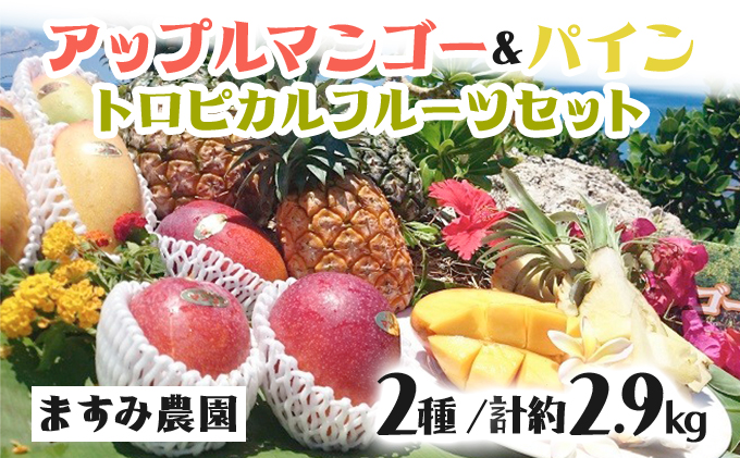 2026年 先行予約 パイン マンゴー セット トロピカルフルーツセット ますみ農園 果物 005-a005_2026