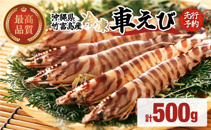 先行予約 車えび 500g 竹富島産 冷凍車えび 先行予約 冷凍車えび500g
