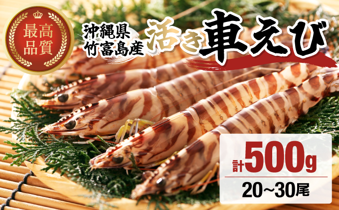 竹富島産 活車えび 500g:20~30尾 008-a007 活車えび 500g