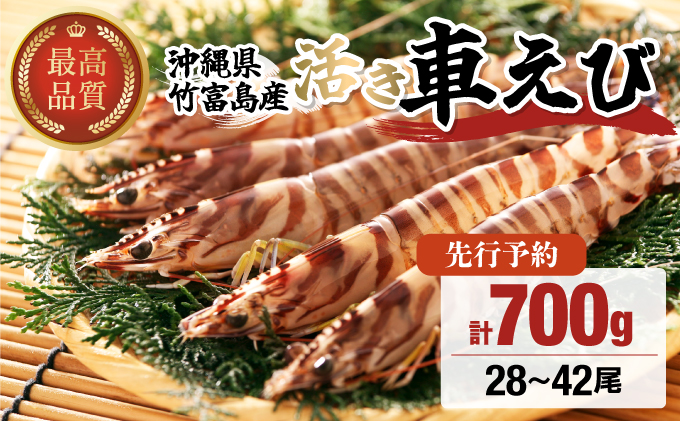 先行予約 竹富島産 活車えび 700g:28-42尾 先行予約 活車えび 700g