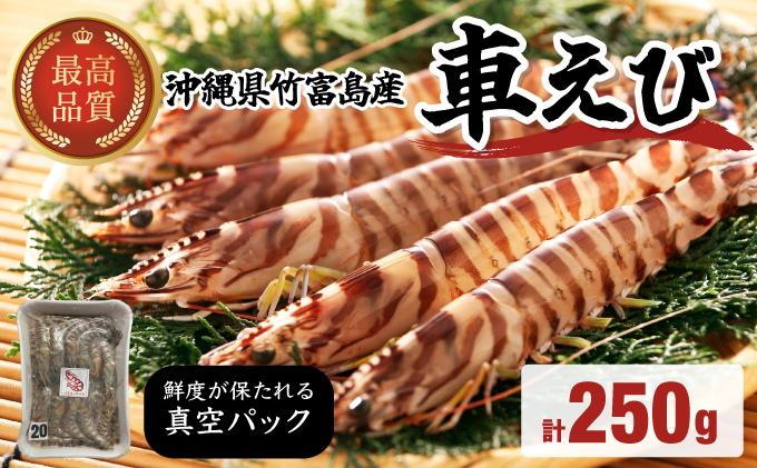 車えび 竹富島産 真空パック（冷凍） 250g 真空パック（冷凍） 250g