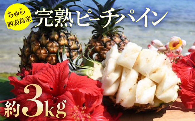2026年 先行予約 ピーチパイン 約3kg 3玉～5玉 ちゅら西表島産!! ゆたか農園 完熟 パイン 果物 フルーツ パイナップル[010-a001_2026]