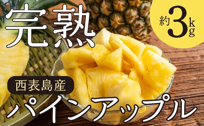 2026年 先行予約 完熟 パインアップル 約3kg 水鴨農園 パイン パイナップル 果物 フルーツ 020-a001_2026