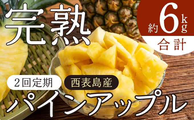 定期便 2ヶ月 2026年 先行予約 旬のパインアップル 約3kg 水鴨農園 2回 お楽しみ 果物 フルーツ 020-a003_2026