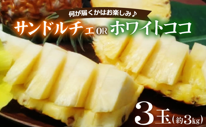 新品種パイン　『サンドルチェ』または『ホワイトココ』３玉セット　約３ｋｇ 西表島産 020-b002_2026