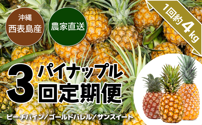 【2026年5月～7月（全3回発送）】南国の美味しさを！パイナップル 定期便 B[022-a004_2026]