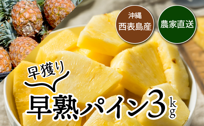 【2026年発送】南国の香り！ 早穫り完熟パイン[022-a005_2026]