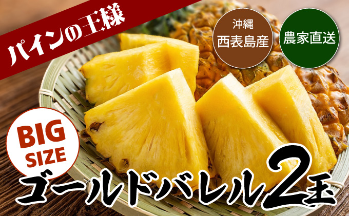 【2026年発送】ゴールドバレルビッグな２玉セット[022-a006_2026]