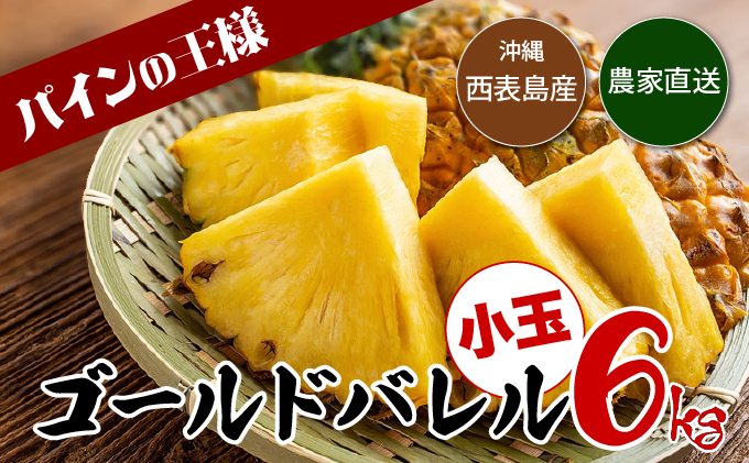 【2026年発送】ゴールドバレルたっぷり小玉セット[022-a012_2026]