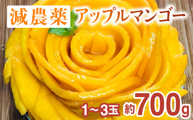 2024年 先行予約 栽培期間中 減農薬 アップルマンゴー 約700g 1～3玉 アナナス農園 完熟 マンゴー 果物 フルーツ