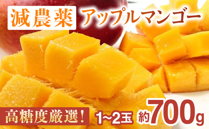 2024年 先行予約 アップルマンゴー 約700g 1～2玉 高糖度厳選！栽培期間中 減農薬！アナナス農園 完熟 マンゴー 果物 フルーツ