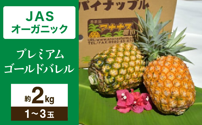 【JASオーガニック】 プレミアムゴールドバレル 約2kg 1～3玉 023-a008_2026