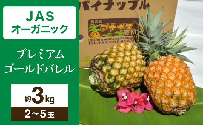 【JASオーガニック】 プレミアムゴールドバレル 約3kg 2～5玉 023-a009_2026