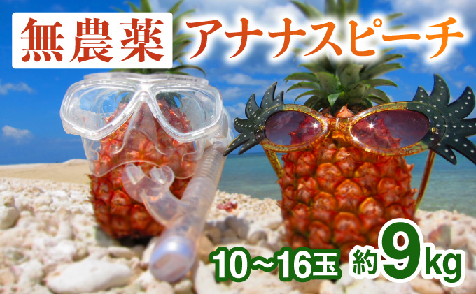 2024年 先行予約 パイナップル ついに実現！ 栽培期間中 完全 無農薬 アナナスピーチ 約9kg 10～16玉 果物 フルーツ