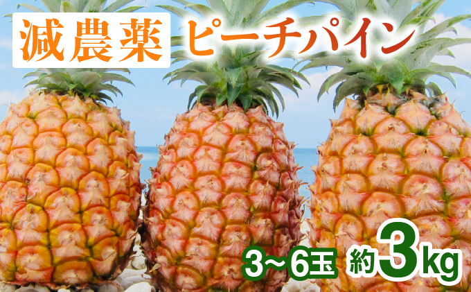2026年 先行予約 栽培期間中 減農薬 ピーチパイン 約3kg 3～6玉 西表島アナナス農園 完熟 パイン 果物 フルーツ 023-a016_2026