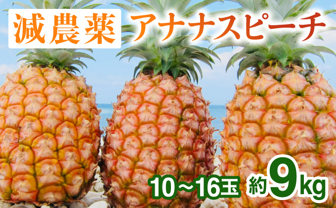 2024年 先行予約 栽培期間中 減農薬 ピーチパイン 約9kg 10～16玉 西表島アナナス農園 完熟 パイン 果物 フルーツ