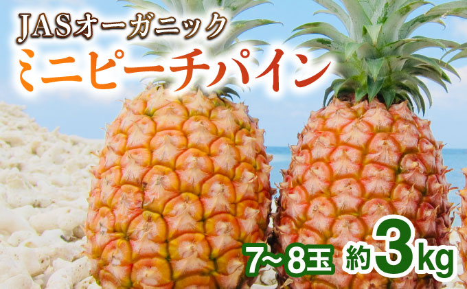2026年 先行予約 パイナップル ついに実現！転換期間中　JASオーガニック ミニピーチ 3kg (7～8玉) 023-a024_2026