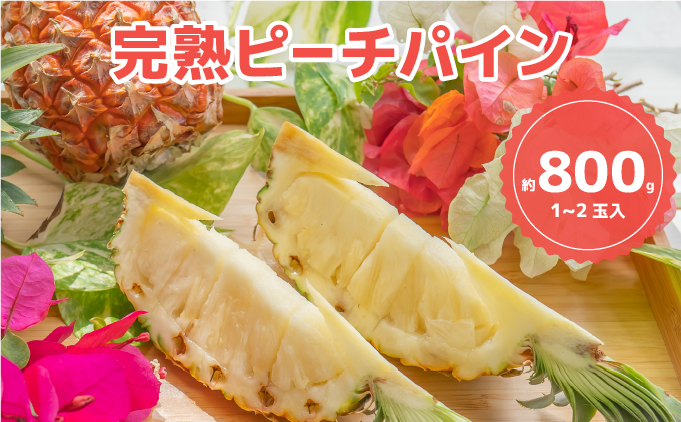 人気No.1　『初ピーチの方に大好評!!』☆新感覚の味わい!!☆桃のような甘～い香りのする芳醇なパイナップル！ 約800g（1～2個入）[025-a011_2026]