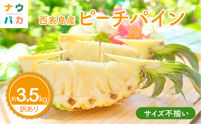 【訳あり】☆新感覚の味わい☆まるで桃のような甘～い香り　『西表島産完熟ピーチパイン』 約3.5kg [025-a012_2026]