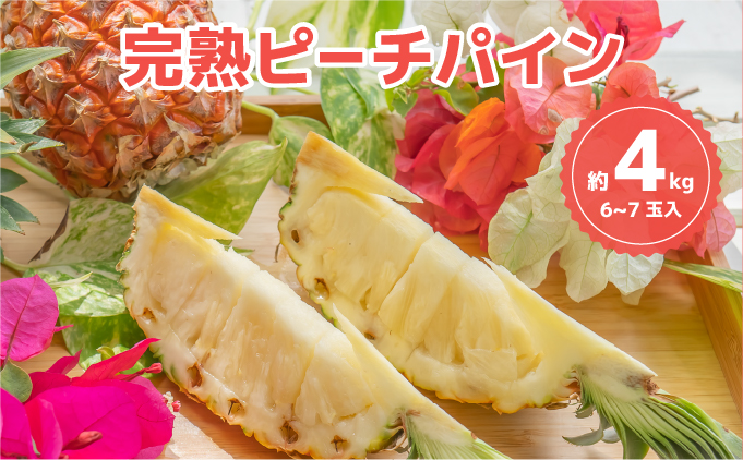 ☆新感覚の味わい☆桃のような芳醇な香りのする　『西表島産完熟ピーチパイン』 約4kg（6～7個入）[025-a028_2026]