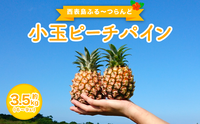 2026年 先行予約 小玉 ピーチパイン 約3.5kg 6～9玉 ★西表島ふる～つらんど★美味しさギュッと！ 果物 フルーツ パイン 026-a003_2026