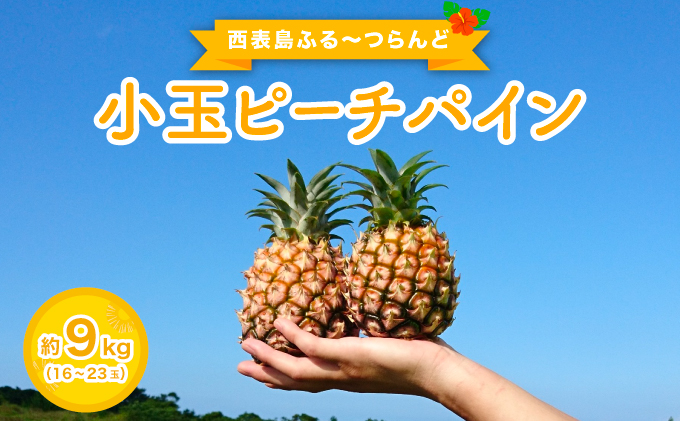 2026年 先行予約 小玉 ピーチパイン 約9kg 16～23玉 ★西表島ふる～つらんど★美味しさギュッと！果物 フルーツ パイン 026-a004_2026