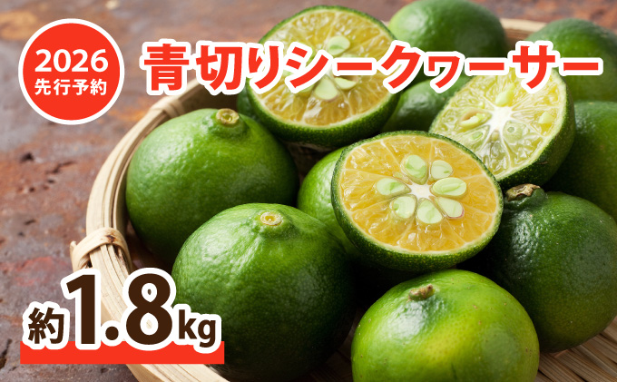 2026年 先行予約 青切り シークヮーサー 約1.8kg ★西表島ふる～つらんど★ 果物 フルーツ 026-a005_2026