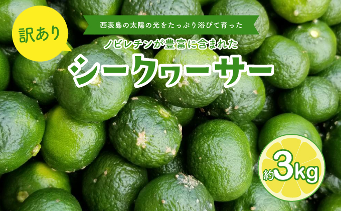 訳あり 2026年 先行予約 青切り シークヮサー 約3kg ☆西表島ふる～つらんど☆ 果物 フルーツ 026-a008_2026