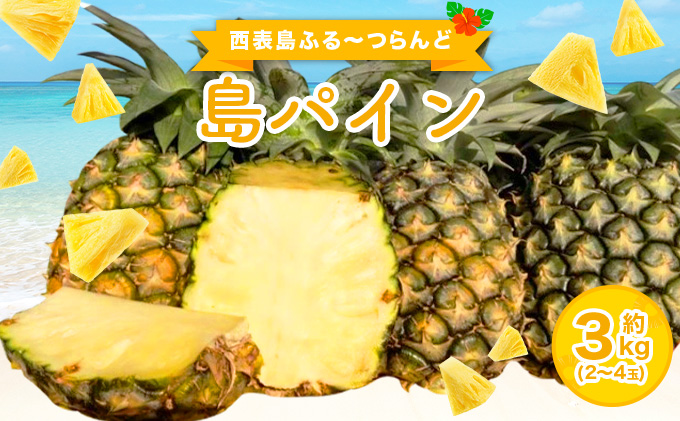 2026年 先行予約 島パイン (ハワイ種) 約3kg 2～4玉 パイナップルの王道 西表島産 パイン 果物 フルーツ 026-a015_2026