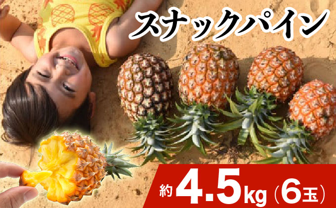 2026年 先行予約 スナックパイン 約4.5kg 6玉 西表島ひらい農園 パイナップル 果物 フルーツ パイン 027-a010_2026