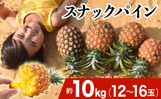 2026年 先行予約 スナックパイン 約10kg 12～16玉 西表島ひらい農園 パイナップル 果物 フルーツ パイン 027-a012_2026
