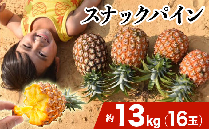 2026年 先行予約 スナックパイン 約13kg 16玉 西表島ひらい農園 パイナップル 果物 フルーツ パイン 027-a013_2026