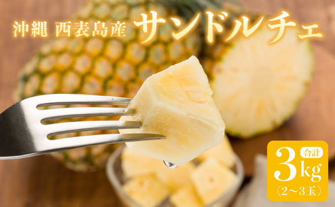 熟鮮サンドルチェ(R) 3kg(2～3玉 )2026年 先行予約 パイン沖縄 西表島産 レア品種 沖縄 西表島産 果物 フルーツ [029-a004_2026]