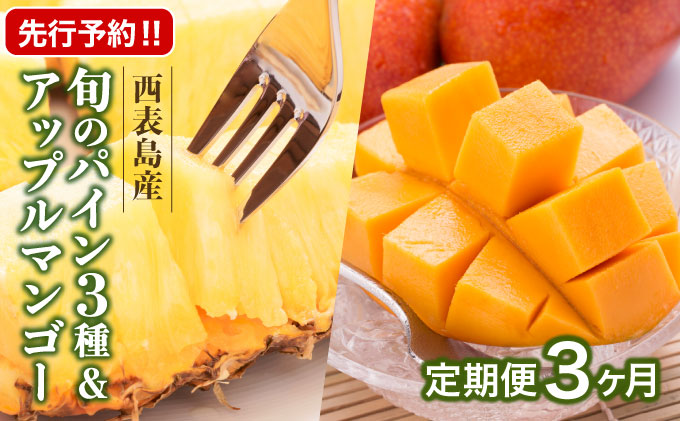 定期便3ヶ月4回 熟鮮スナックパイン 熟鮮ピーチパイン 熟鮮サンドルチェ(R) 3種の旬のパインと アップルマンゴーセット 2026年 先行予約 産地直送 沖縄 西表島[029-a006_2026]