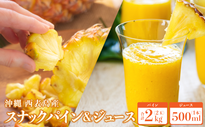 2026年 先行予約 熟鮮スナックパイン2kg （2玉）と甘さをぎゅっと詰め込んだ100％ パイナップルジュース 1本[029-a007_2026]