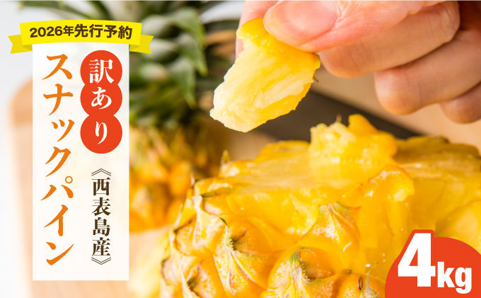 【訳あり】大きさ不揃い　お得！箱にいっぱいスナックパイン4㎏セット[029-a008_2026]