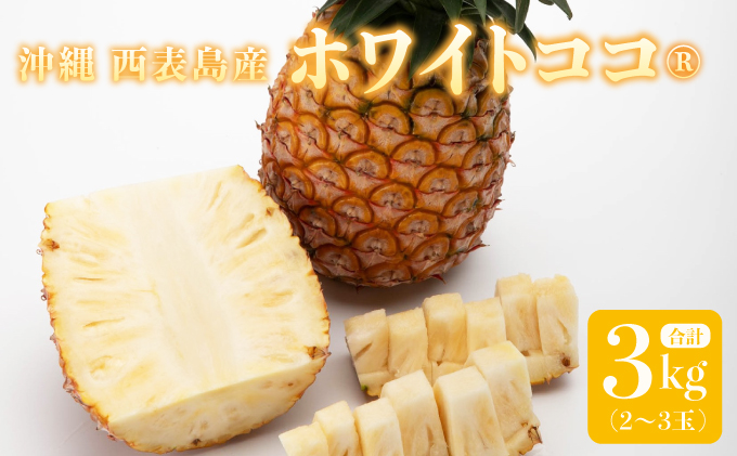リピーター続出の希少種パイン！　数量限定販売　先行予約　パイナップル　沖縄　西表島　熟鮮ホワイトココⓇ　3㎏　2～3玉　ココナッツに似た香り　果物　フルーツ　デザート[029-a009_2026]