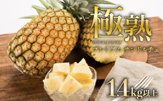 GOKUJUKU-極熟プレミアムサンドルチェ(R) 1.4kg以上 1玉　2026年　先行予約 パイナップル 沖縄 高糖度秀品 贈答用 贈り物 パイン 果物 フルーツ デザート 希少 西表島[029-a010_2026]