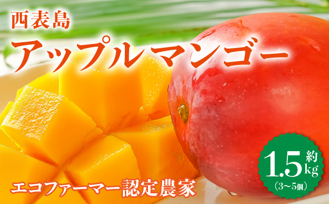 2025年6月中旬発送予定。『箱を開けた瞬間から、至極のひと時を』西表島プレミアムマンゴー1.5kg