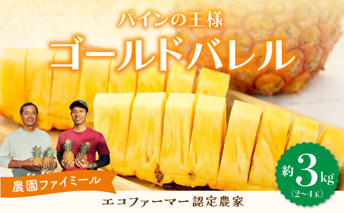 2026年 先行予約 完熟 ゴールドバレル 約3kg 2～4玉入り 最高級 パイン 果物 フルーツ  031-a001_2026