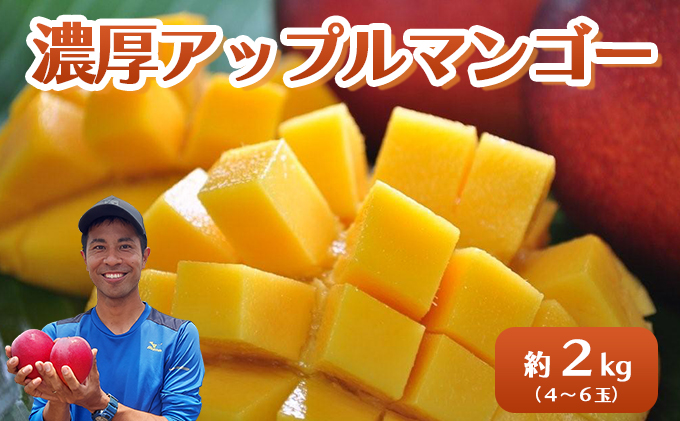 2026年 先行予約 アップルマンゴー 約2kg 4～6玉 セット 八重山マンゴー品評会総合1位を計3回獲得！高糖度保証！農園ファイミール 濃厚 果物 フルーツ 031-a007_2026